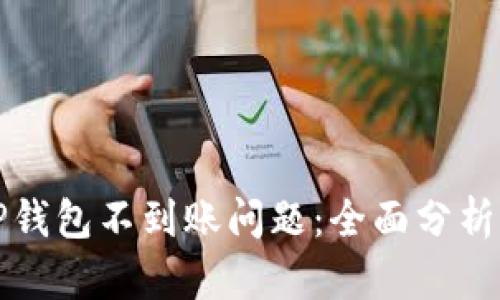 如何解决TP钱包不到账问题：全面分析与解决方案