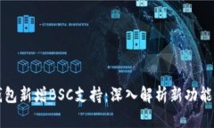 电脑版TP钱包新增BSC支持：深入解析新功能与用户