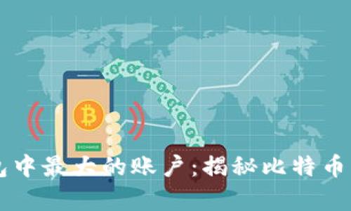 比特币钱包中最大的账户：揭秘比特币财富的集中
