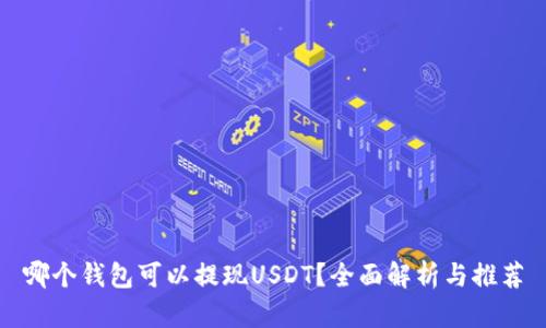 哪个钱包可以提现USDT？全面解析与推荐