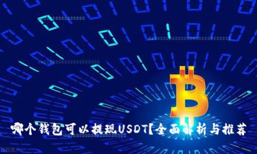 哪个钱包可以提现USDT？全面解析与推荐