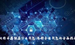 比特币存储在什么钱包：