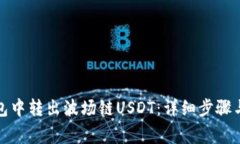 如何在麦子钱包中转出波