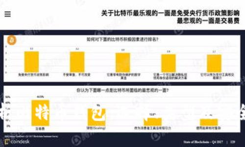 全面解析比特币钱包：选择、类型及安全性指南