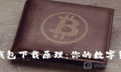 深入了解泰达币钱包下载