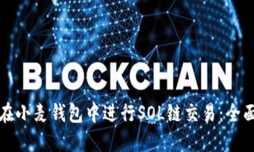 如何在小麦钱包中进行SOL链交易：全面指南