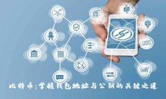 比特币：掌握钱包地址与