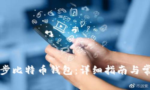 如何有效同步比特币钱包：详细指南与常见问题分析