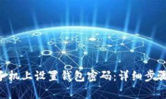 如何在0OP手机上设置钱包密码：详细步骤与注意