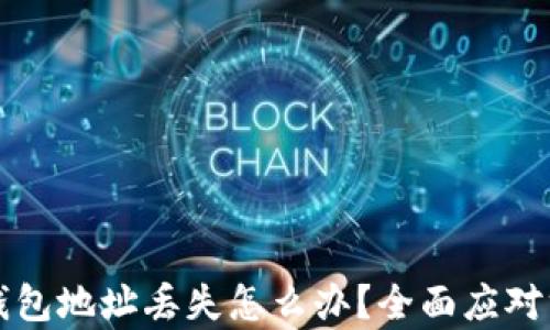 
比特币钱包地址丢失怎么办？全面应对方案解析