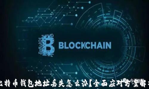 
比特币钱包地址丢失怎么办？全面应对方案解析