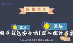 实体比特币钱包安全吗？深入探讨与实用指南
