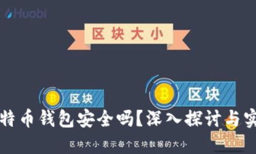 实体比特币钱包安全吗？深入探讨与实用指南
