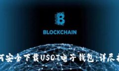 :如何安全下载USDT电子钱包：详尽指南