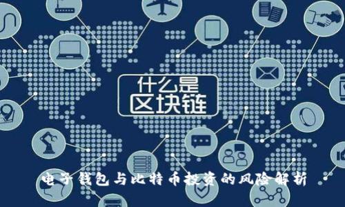 电子钱包与比特币投资的风险解析