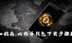 详细指南：比特币钱包下载步骤教程