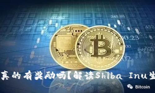 : SHIB币放入钱包真的有奖励吗？解读Shiba Inu生态系统的潜在收益