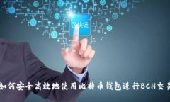 如何安全高效地使用比特