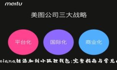 如何将Solana链添加到小狐狸钱包：完整指南与常