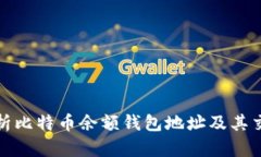 全面解析比特币余额钱包地址及其交易机制