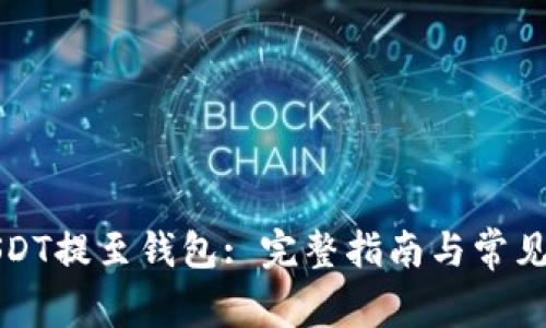如何将USDT提至钱包: 完整指南与常见问题解答
