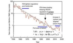 如何在TP钱包中设置正确的
